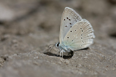 BUITEN BEELD Foto: 49488