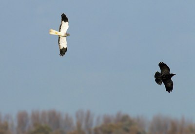 BUITEN BEELD Foto: 49584