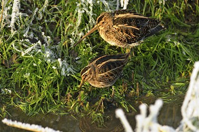 BUITEN BEELD Foto: 49594