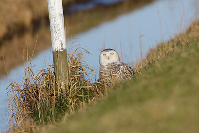 BUITEN BEELD Foto: 49606