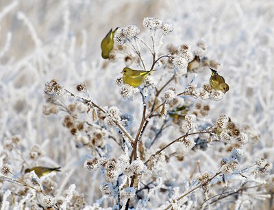 BUITEN BEELD Foto: 49655