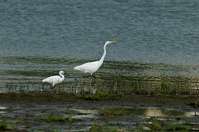 BUITEN BEELD Foto: 49656