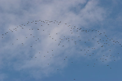 BUITEN BEELD Foto: 49682