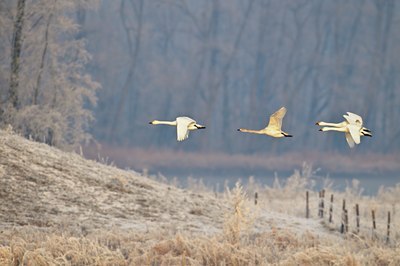 BUITEN BEELD Foto: 49696