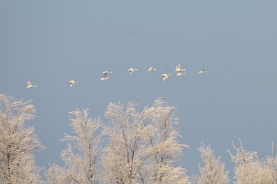 BUITEN BEELD Foto: 49699