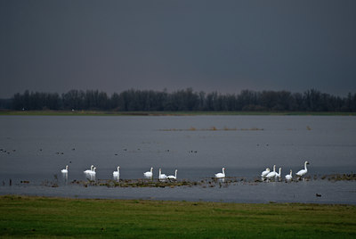 BUITEN BEELD Foto: 49722