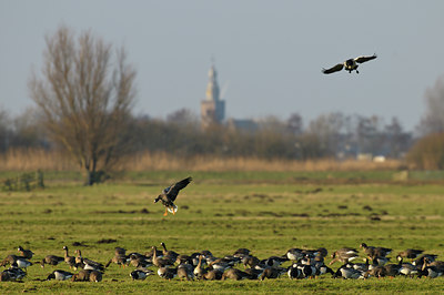 BUITEN BEELD Foto: 49738
