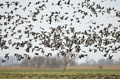 BUITEN BEELD Foto: 49753