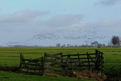 BUITEN BEELD Foto: 49756