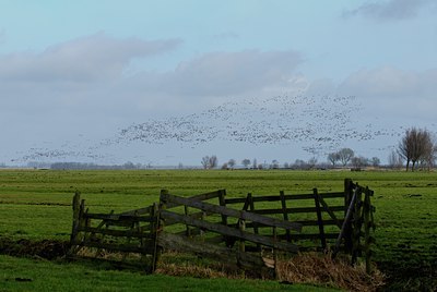 BUITEN BEELD Foto: 49756