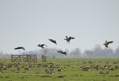 BUITEN BEELD Foto: 49765