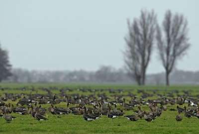 BUITEN BEELD Foto: 49770