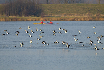 BUITEN BEELD Foto: 49819
