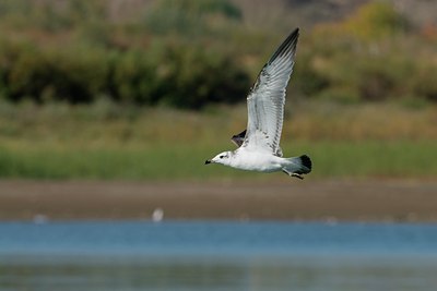 BUITEN BEELD Foto: 49848