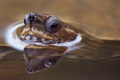 BUITEN BEELD Foto: 49944