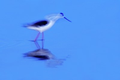 BUITEN BEELD Foto: 50044