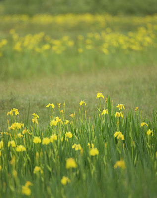 BUITEN BEELD Foto: 50075