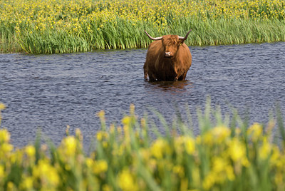 BUITEN BEELD Foto: 50081