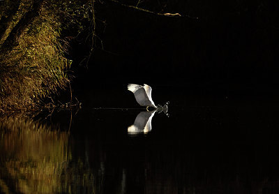 BUITEN BEELD Foto: 50183