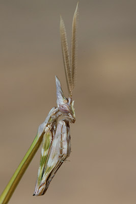 BUITEN BEELD Foto: 50197