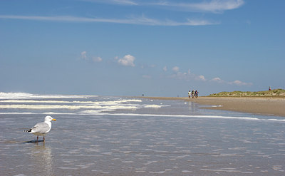 BUITEN BEELD Foto: 50228