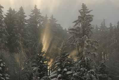 BUITEN BEELD Foto: 50234