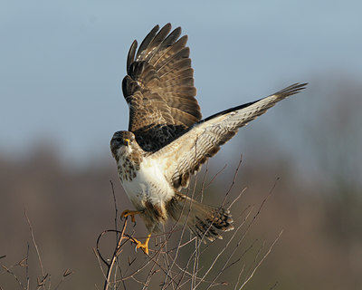 BUITEN BEELD Foto: 50281