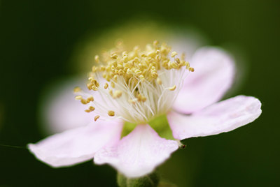 BUITEN BEELD Foto: 50416