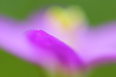 BUITEN BEELD Foto: 50444
