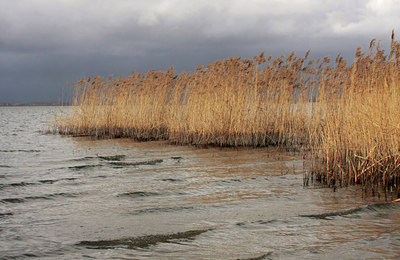 BUITEN BEELD Foto: 50465