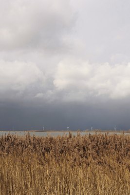 BUITEN BEELD Foto: 50467