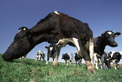 BUITEN BEELD Foto: 50500