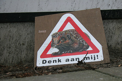 BUITEN BEELD Foto: 50517