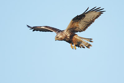 BUITEN BEELD Foto: 50530
