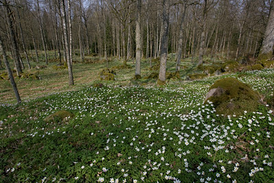 BUITEN BEELD Foto: 50567