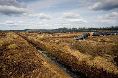 BUITEN BEELD Foto: 50569