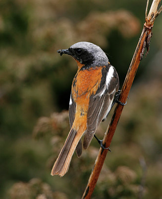BUITEN BEELD Foto: 50571
