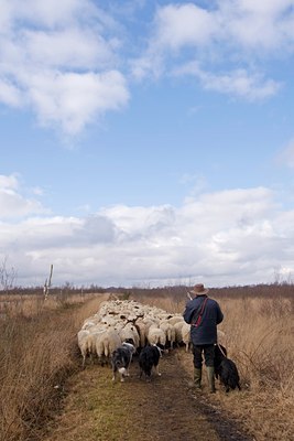 BUITEN BEELD Foto: 50602