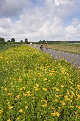 BUITEN BEELD Foto: 50635