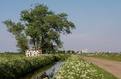 BUITEN BEELD Foto: 50723