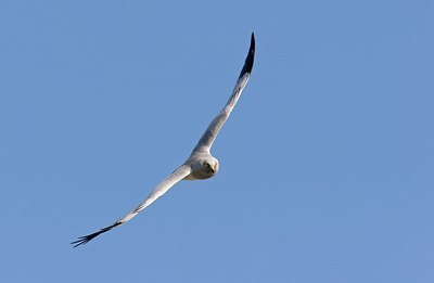 BUITEN BEELD Foto: 50753