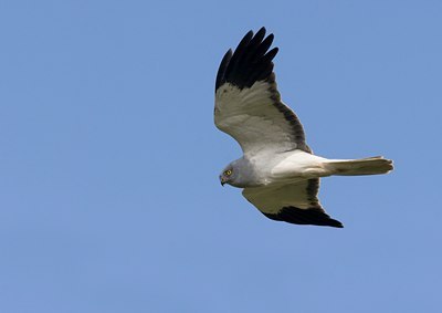BUITEN BEELD Foto: 50754