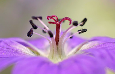 BUITEN BEELD Foto: 50761