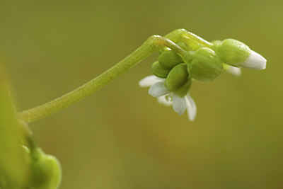 BUITEN BEELD Foto: 50776