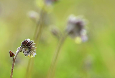 BUITEN BEELD Foto: 50780