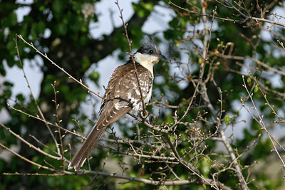 BUITEN BEELD Foto: 50805