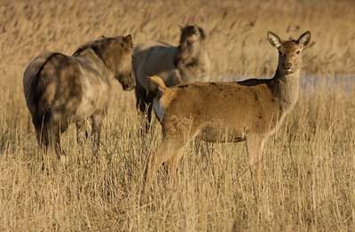 BUITEN BEELD Foto: 50871