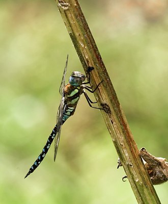 BUITEN BEELD Foto: 50916