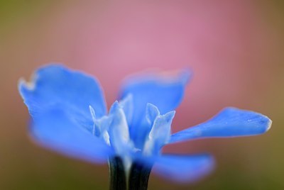 BUITEN BEELD Foto: 50940