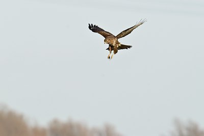 BUITEN BEELD Foto: 50959